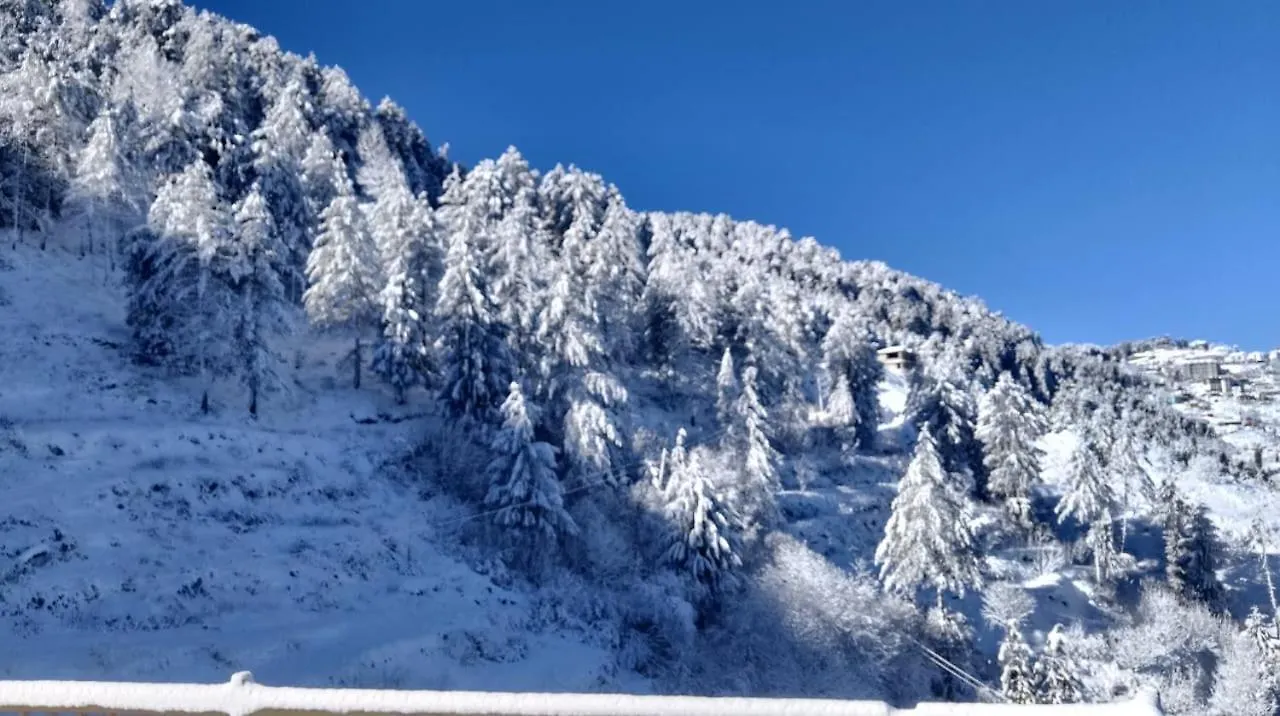 The Exotic Retreat I Vacations I Conference I Mice I Family Events I Kufri By Exotic Stays Shimla India